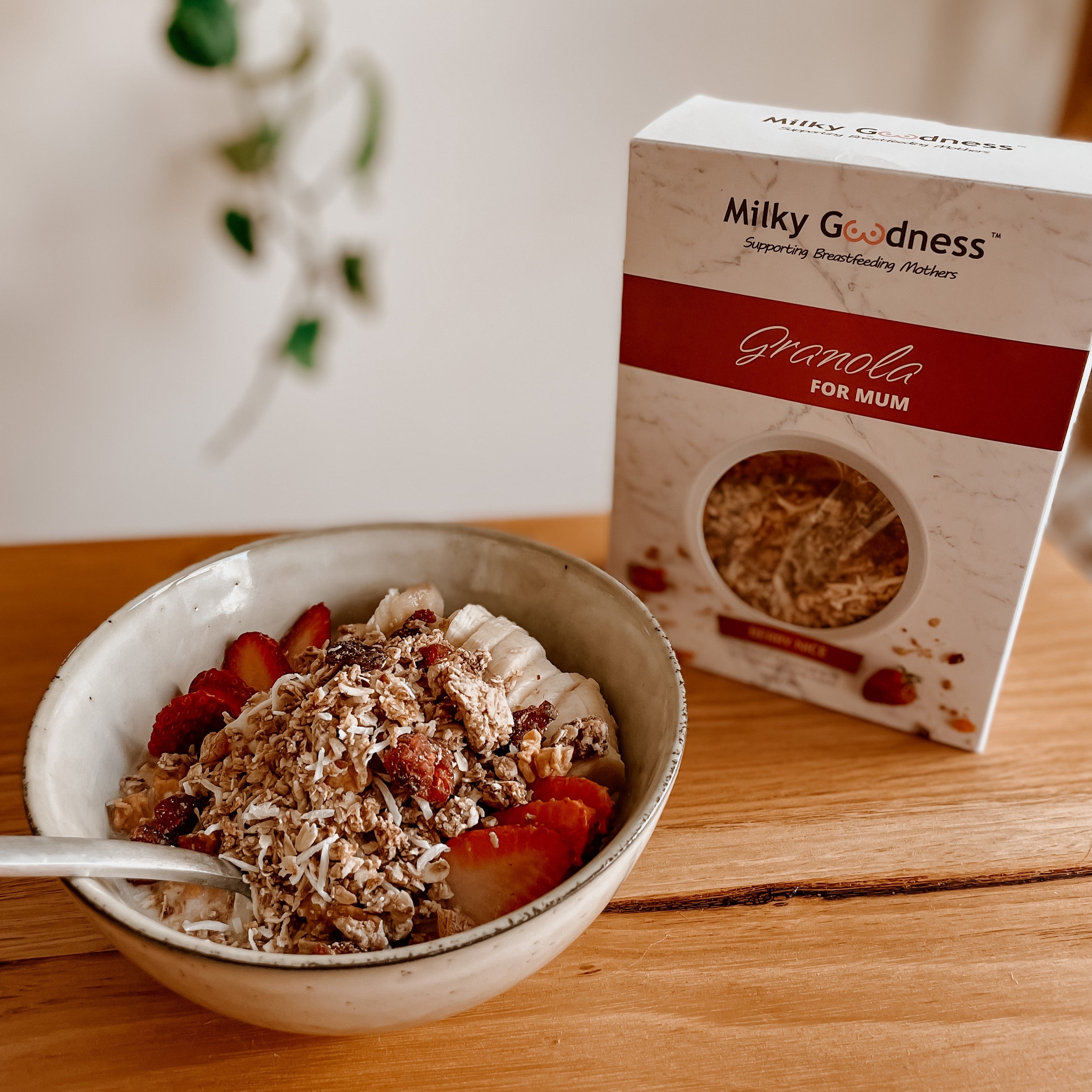 2 Box Bundle Lactation Granola