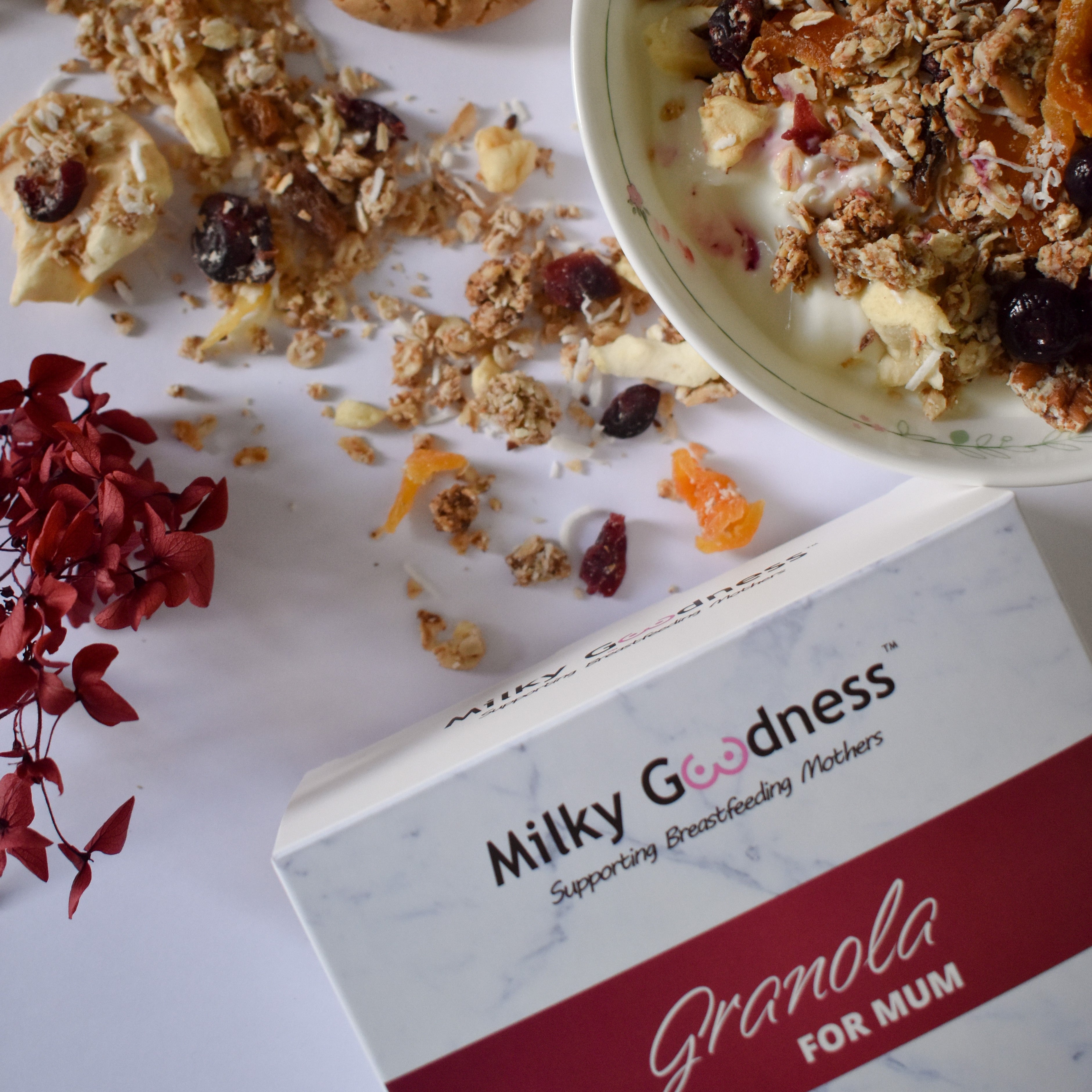 2 Box Bundle Lactation Granola