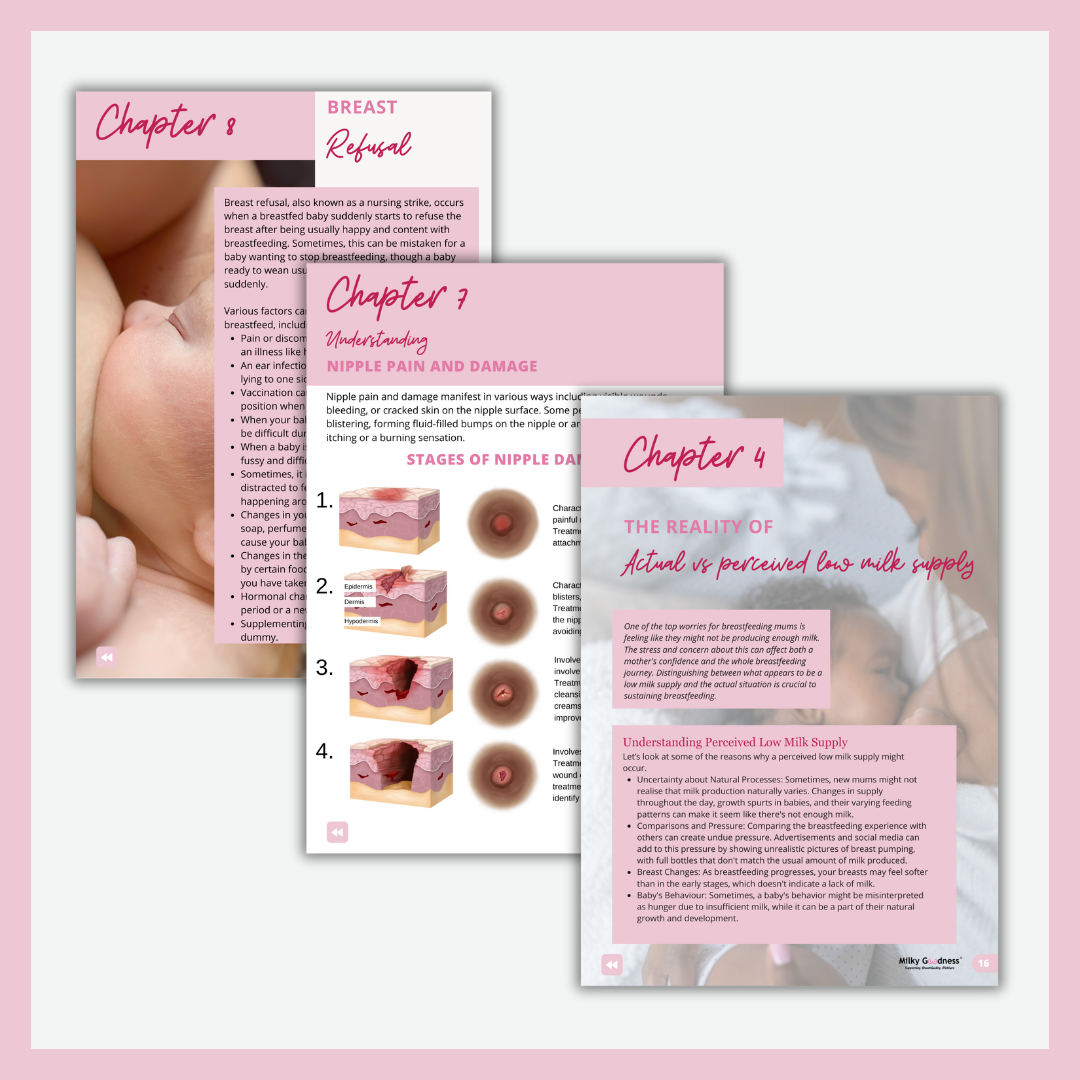 Breastfeeding eBook - Navigating your breastfeeding journey - Understanding and overcoming common breastfeeding challenges