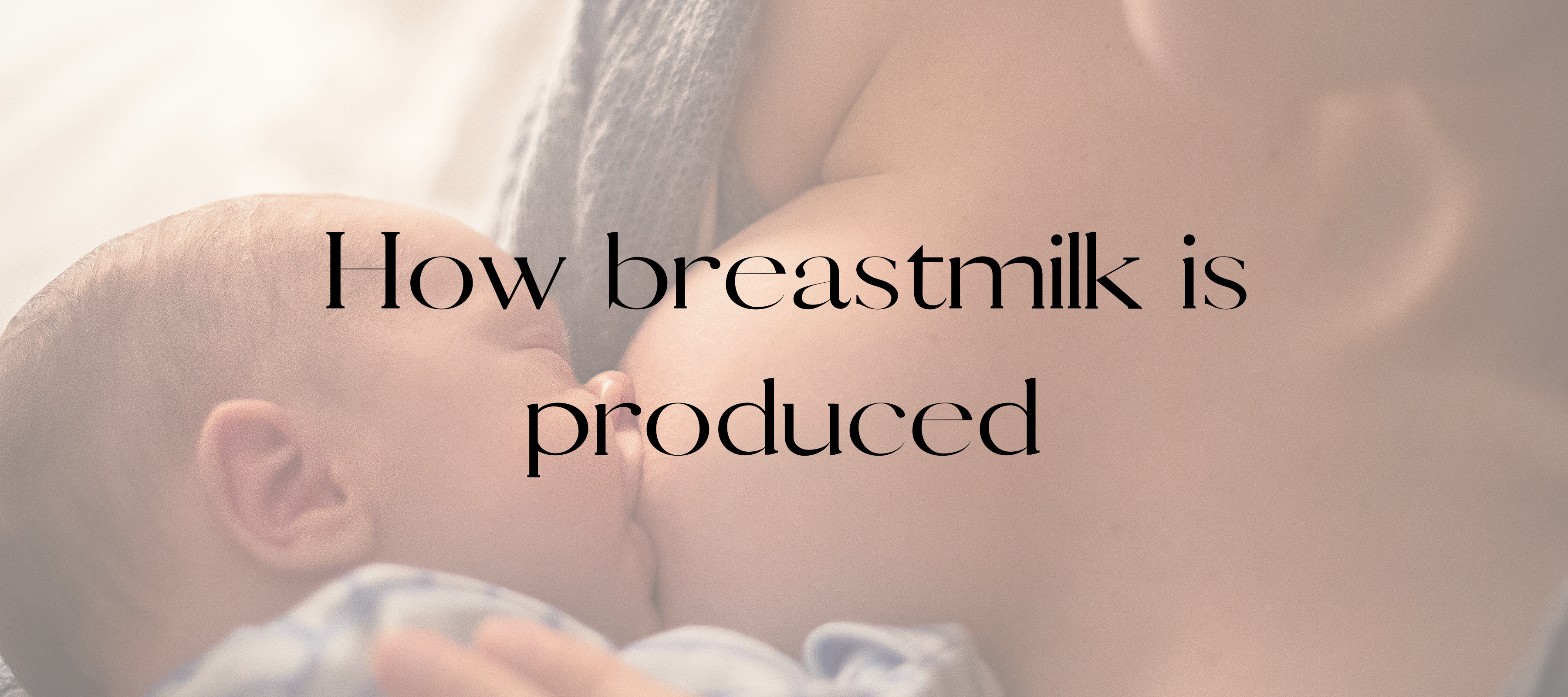 How breastmilk is produced