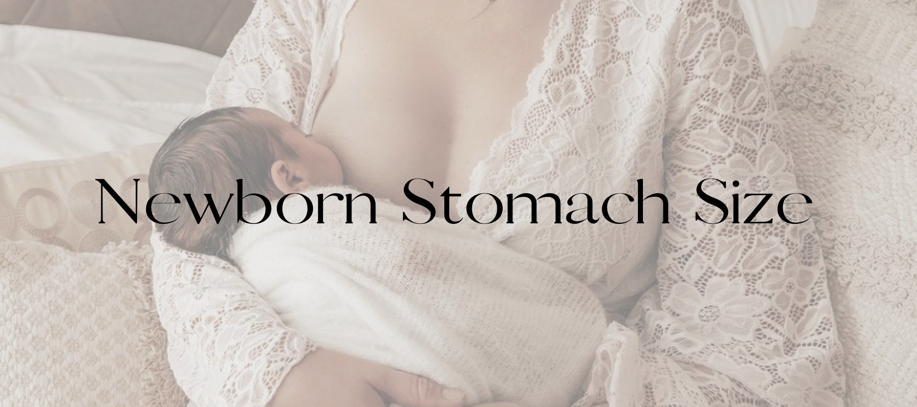 Newborn Stomach Size