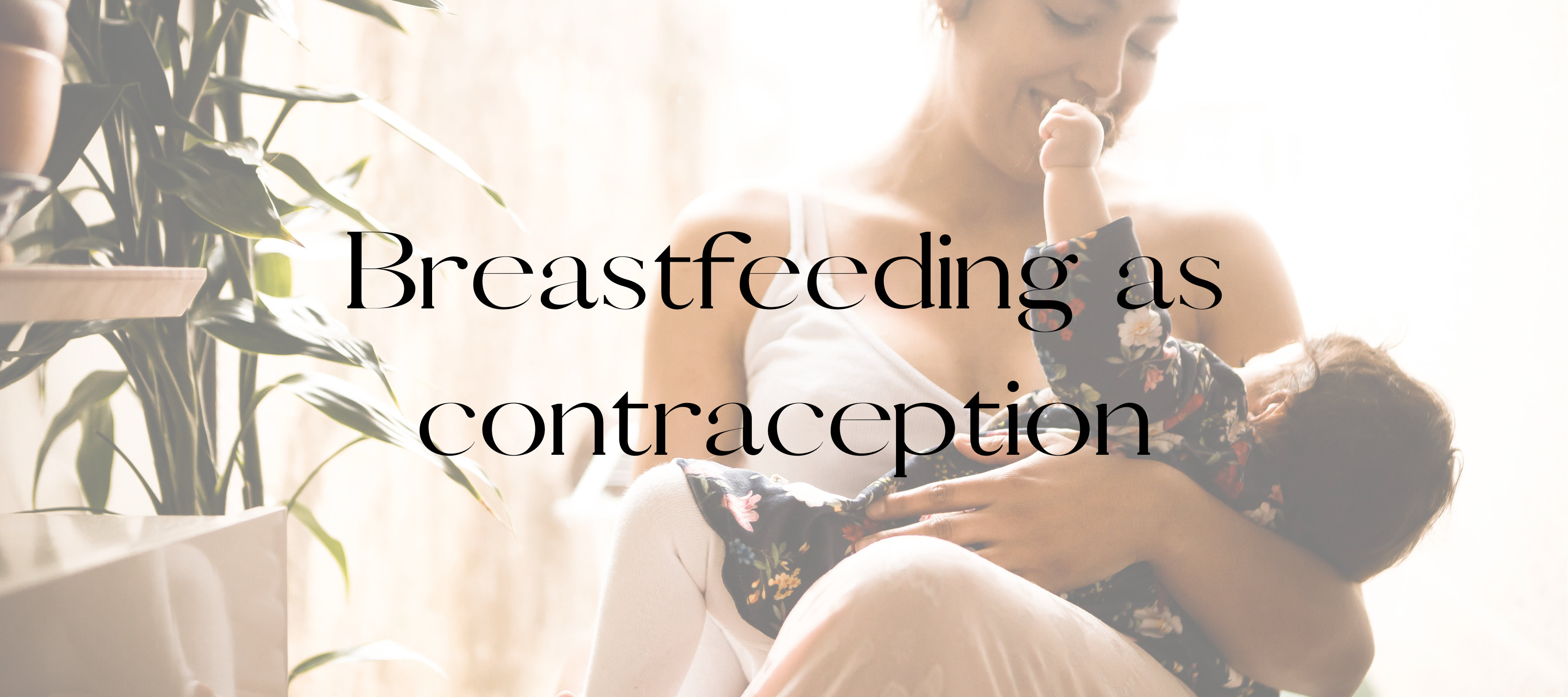 Breastfeeding as contraception