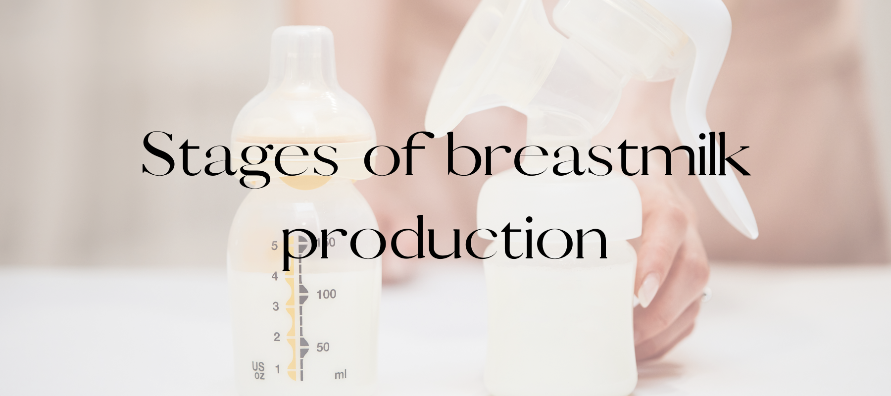 Stages of breastmilk production