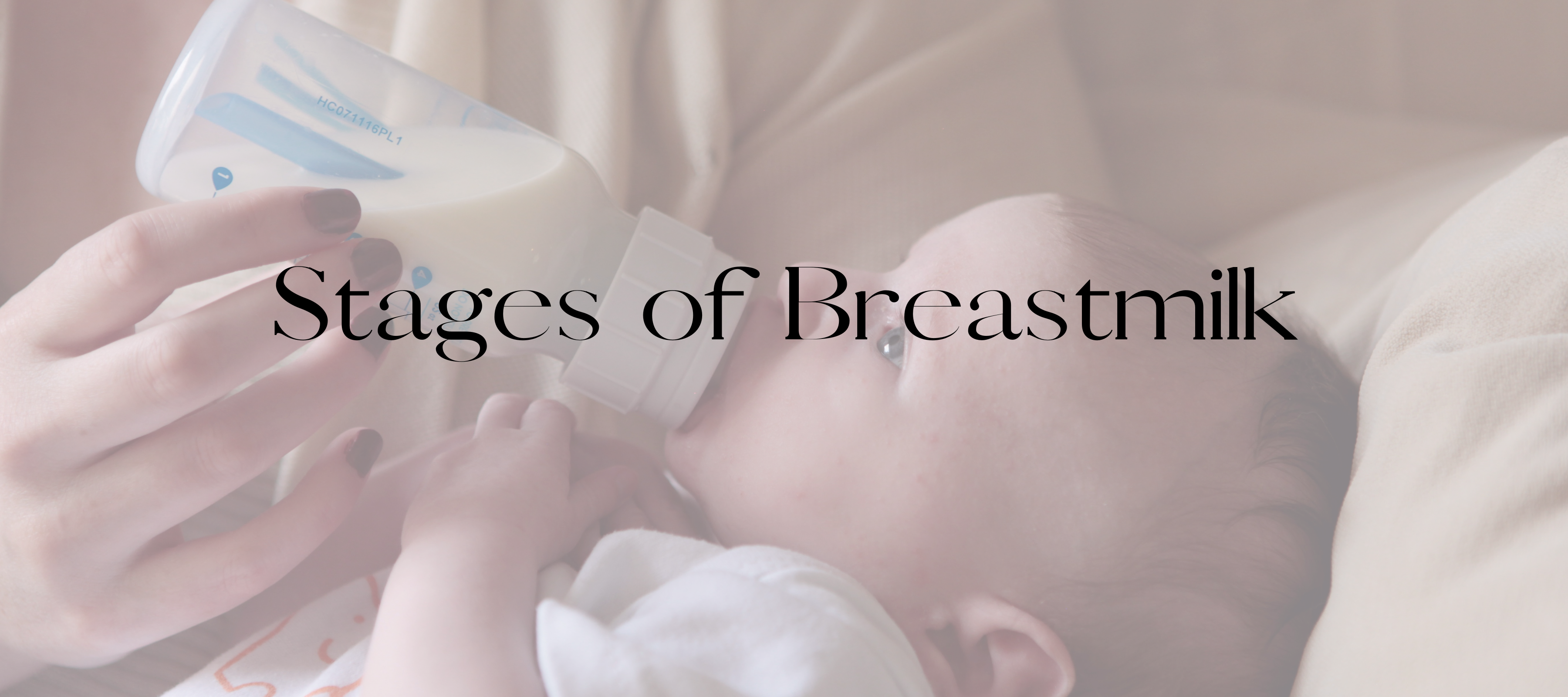 Stages of Breastmilk Production
