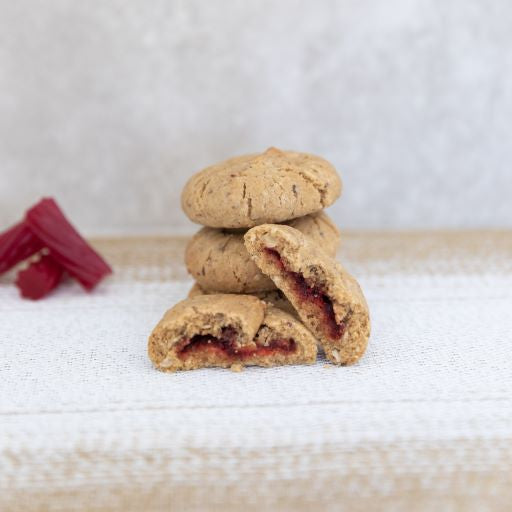 Sample LACTATION COOKIES